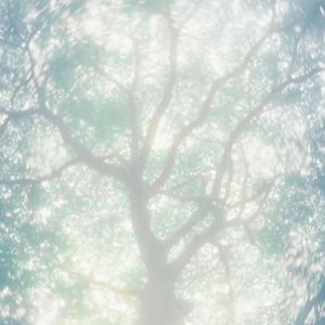 双飞老熟真败火视频
