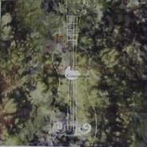 双飞老熟真败火视频
